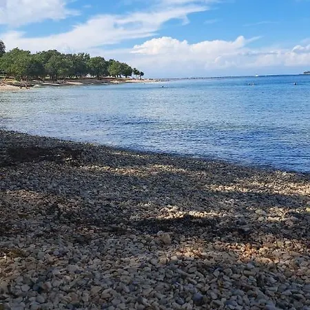 Marina Apartamento